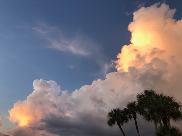 Florida sky by Mick Hales